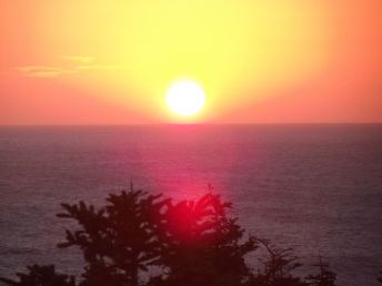 14290005_10208363839868326_783169459305076690_o